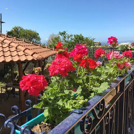 Guest house Il Capitano Piano di Sorrento